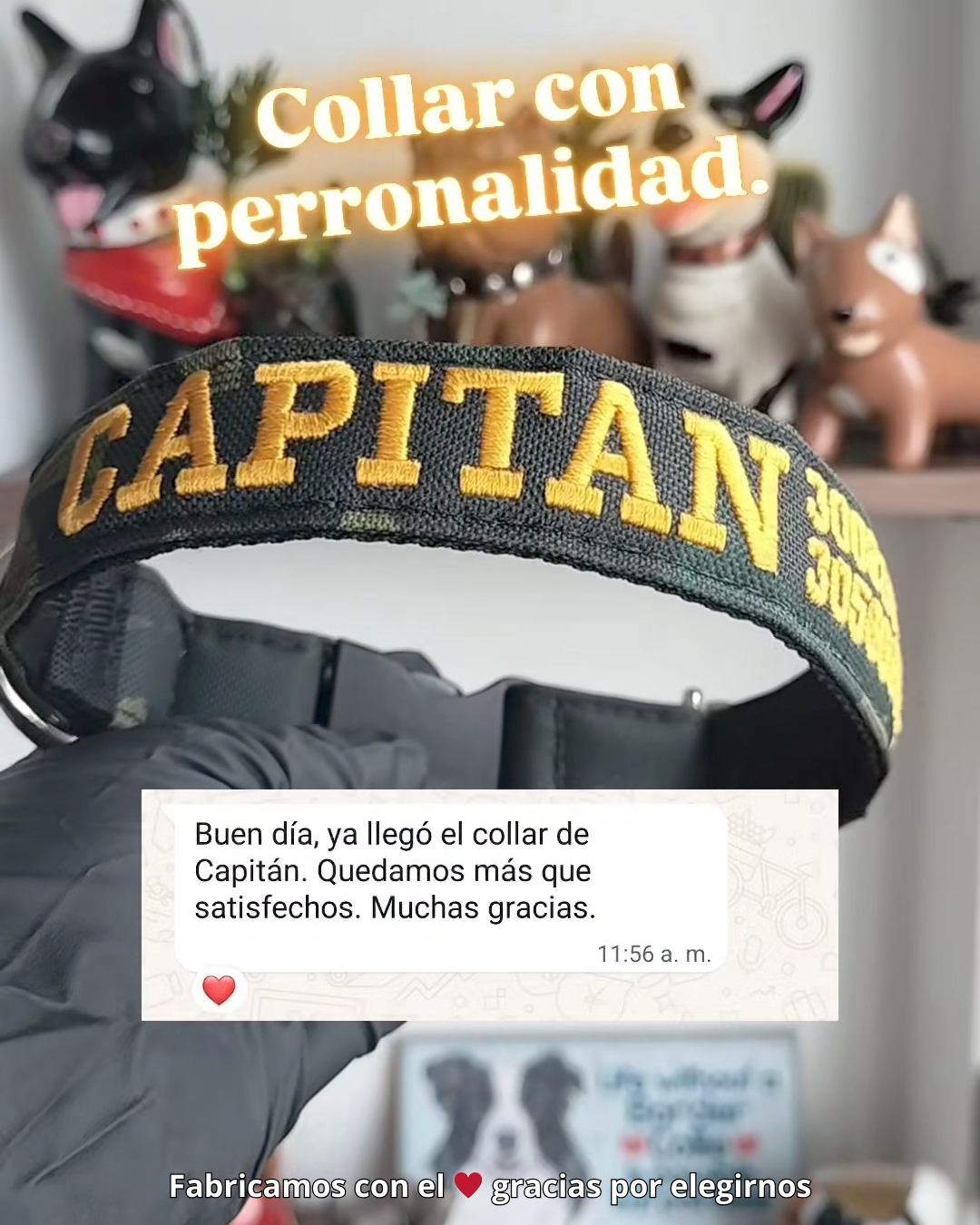 testimonio collar